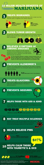 10 glavnih zdravstvenih prednosti marihuane (infografika) / vir: Medical Insurance