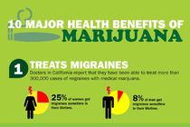 10 glavnih zdravstvenih prednosti marihuane (infografika) / vir: Medical Insurance - thumbnail
