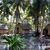 Kofo poroča: Tsunami - Raj in pekel na Andamanih