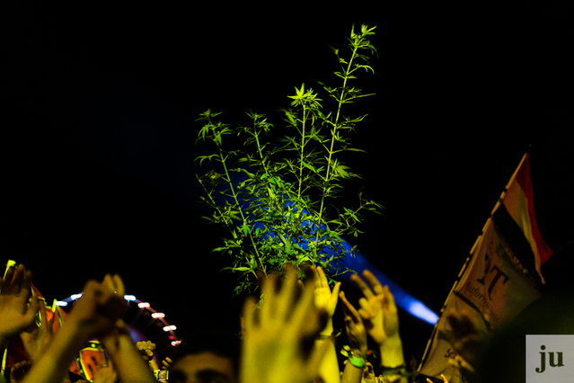 Sziget 2012 - 4. dan