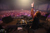 Electronic Carnival 2011 - thumbnail