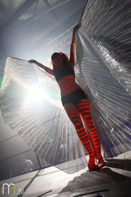 Electronic Carnival 2011