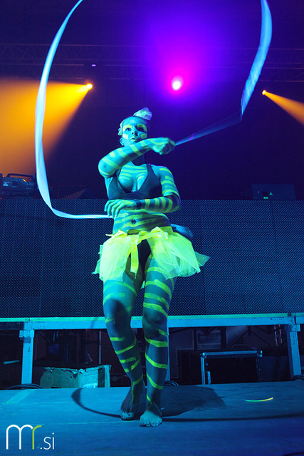 Electronic Carnival 2011