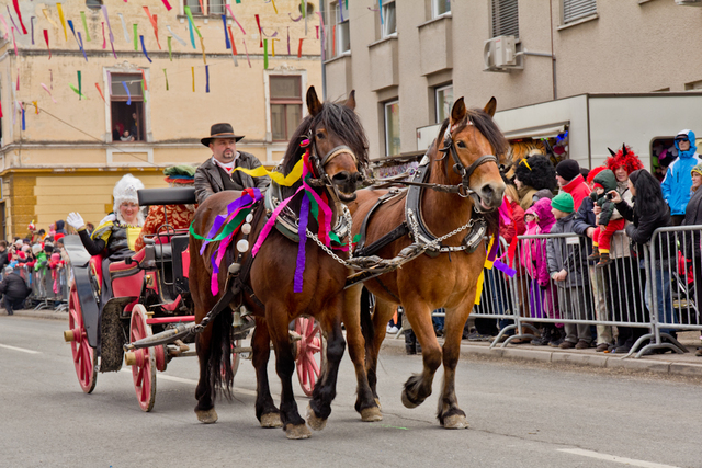 Pustni karneval v Cerknici