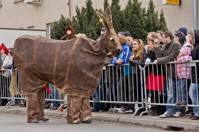 Pustni karneval v Cerknici