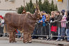 Pustni karneval v Cerknici - thumbnail