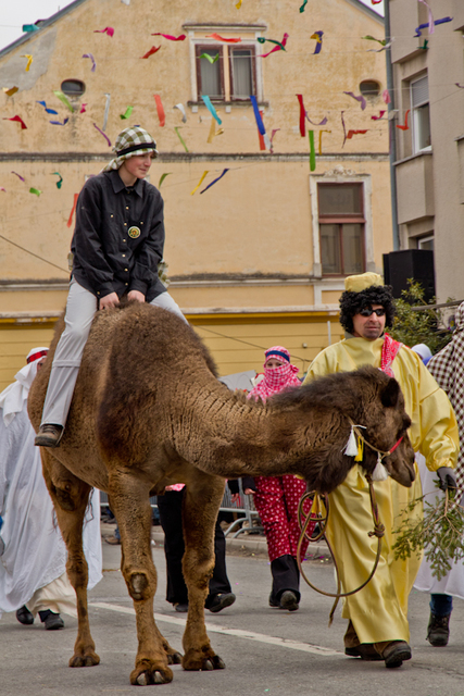 Pustni karneval v Cerknici