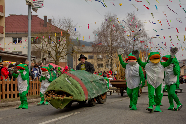 Pustni karneval v Cerknici