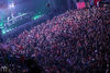 Red (x-mas) party: David Guetta, Afrojack in Paris Hilton v Stožicah - thumbnail