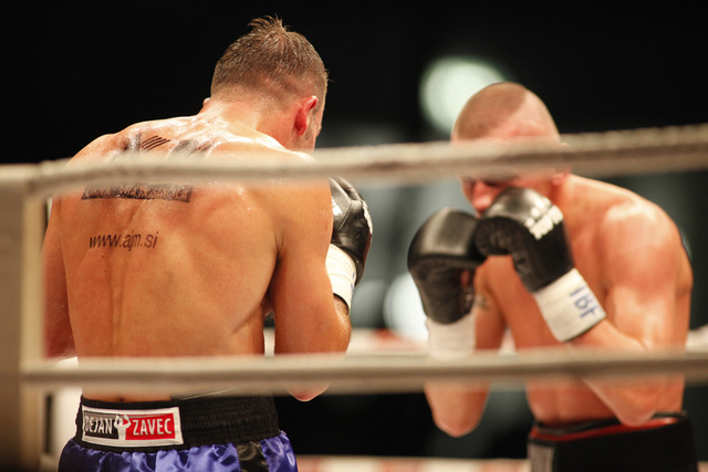 Zavec vs Jackiewicz v Areni Stožice