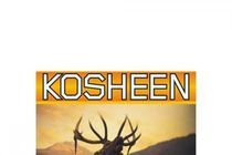 Kosheen plakat - thumbnail