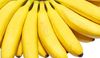 We went Bananas /vir: cankarjada.si - thumbnail