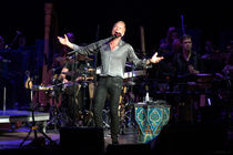 Sting na turneji Symphonicity / foto: Fabrizio Stivanello, vir: flic.kr/p/8FZxhQ - thumbnail