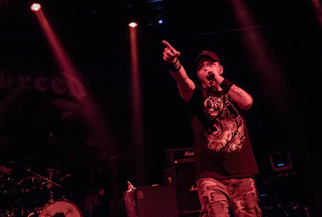 Hatebreed, Napalm Death in Kreshesh Nepitash