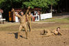 Ljudje v soboto - Rock Otočec 2012 - thumbnail