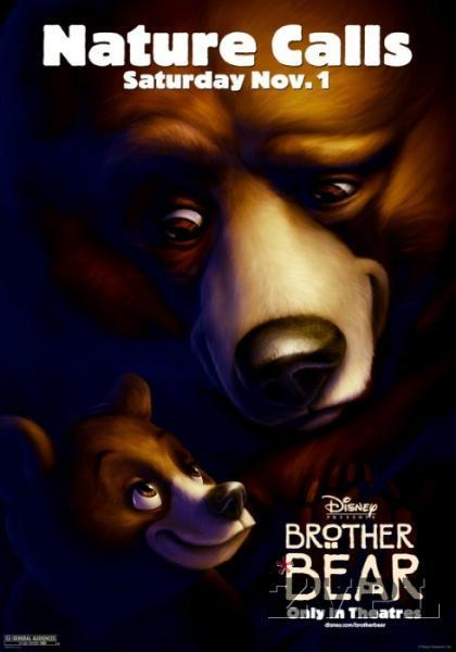Medvedja brata