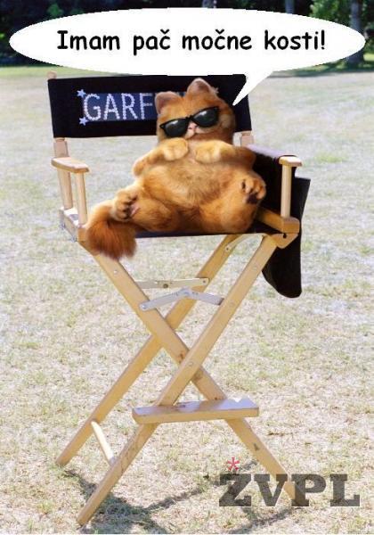 Garfield v svojem elementu!