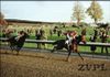 Seabiscuit - thumbnail