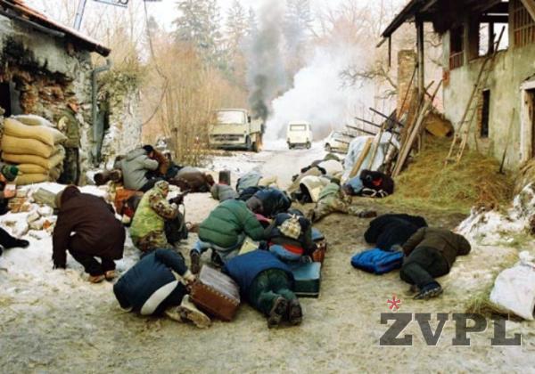 Z (A)torzijo bomo na Oskarjih zastopani tudi Slovenci