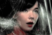 Bjork<br><small>(Foto: Warren Dupreez & Nick Thornton Jones)</small> - thumbnail