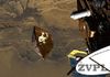 All Rights Reserved Beagle 2 - thumbnail