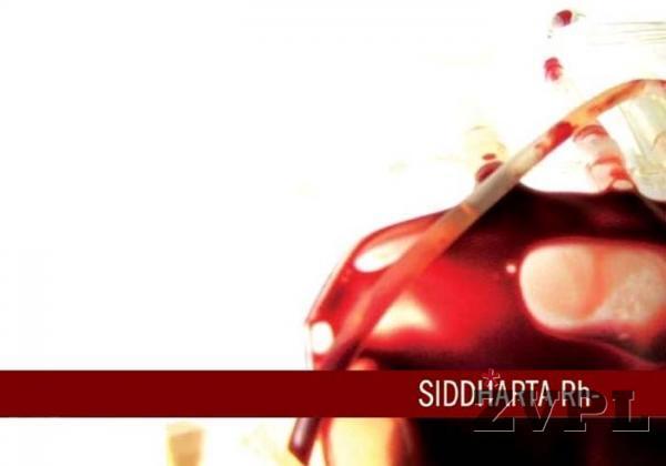 Siddharta Rh-