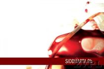 Siddharta Rh- - thumbnail