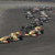 F1 2010: odlična simulacija (za PS3)