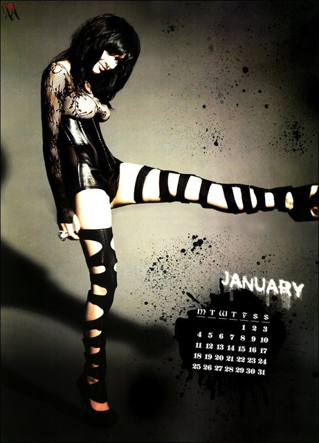 Vikki Blows v koledarju za leto 2010